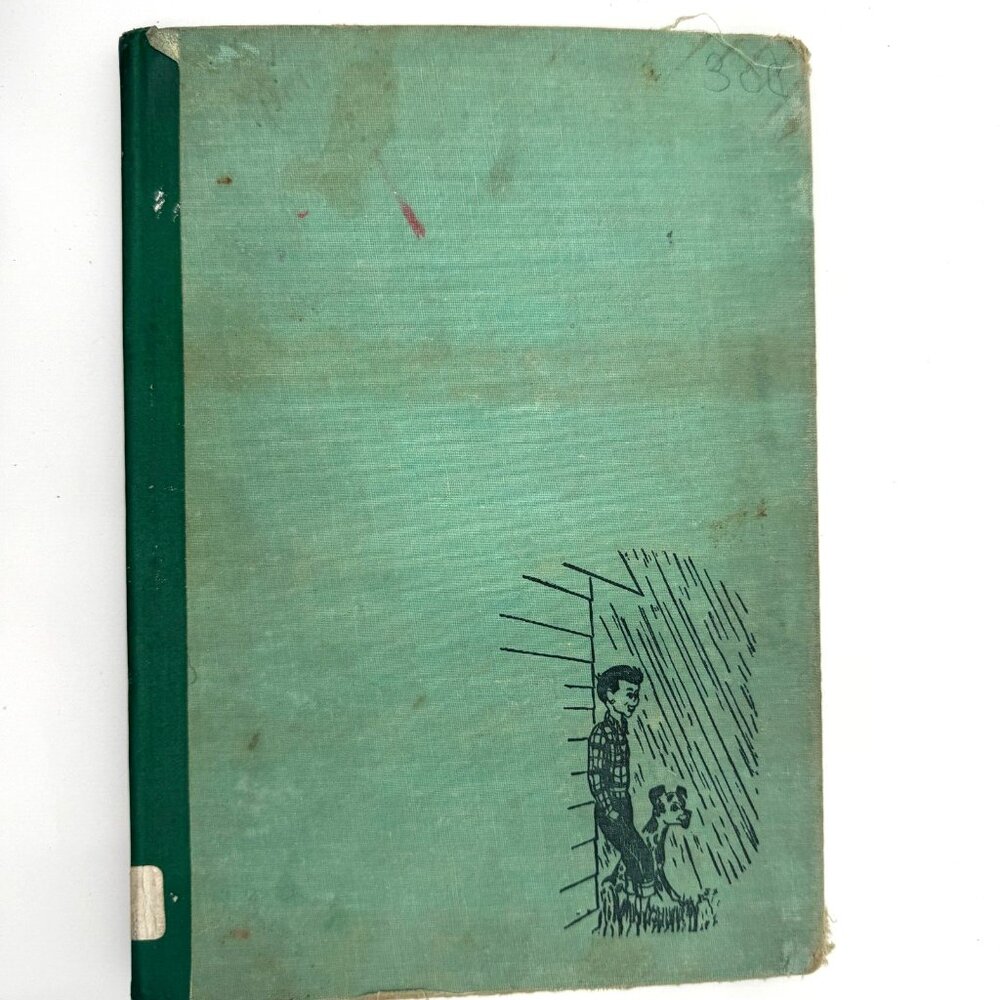 Not Only for Ducks, The Story of Rain, Hardcover by Blough, Glenn 1954